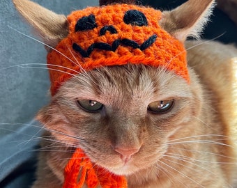 Jack O’lantern Pumpkin Cat Hat, Crochet Halloween Hat for Pets, Crochet Pumpkin Hat for Cats, Halloween Cat Costume, Jack O Lantern Cat Hat