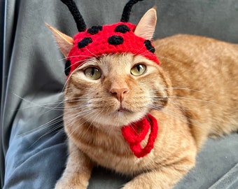 かぎ針編みのてんとう虫猫用コスチュームハット：ペット用ハロウィン