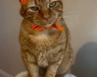 Crochet Pumpkin Cat Hat: Halloween Pet Costume