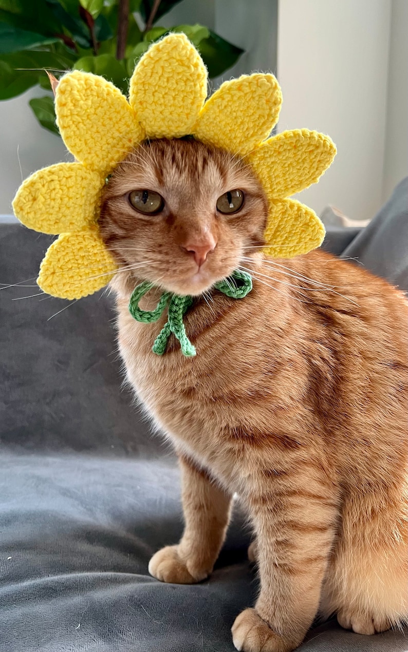 Flower Hat for Cats Sunflower Cat Hat Crochet Hat for Pets Etsy