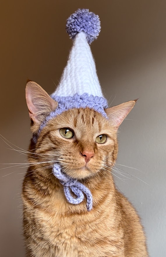 Set Compleanno Per Cani E Gatti | 13 Pezzi Con Corona, Gonna E Papillon Regolabile - Foto 6