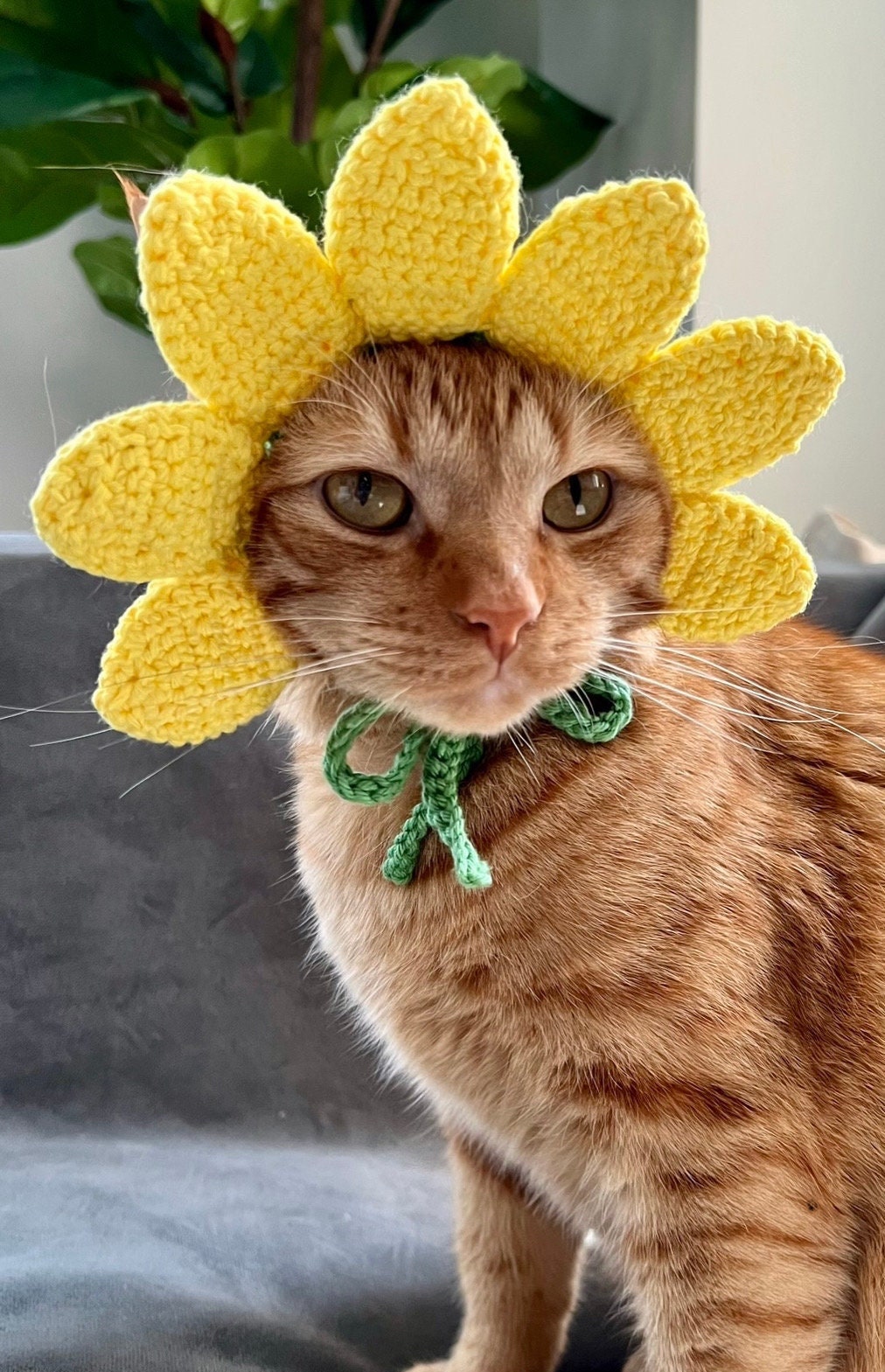かぎ針編みのひまわり猫帽子、ペットコスチューム - Etsy 日本