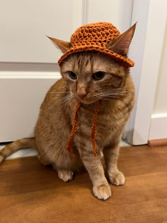 Bucket Hat for Cats, Sun Hat for Cats, Orange Hat for Cats, Cat Hat, Cat  Bucket Hat, Crochet Bucket Hat for Cats, Orange Crochet Bucket Hat -   Canada