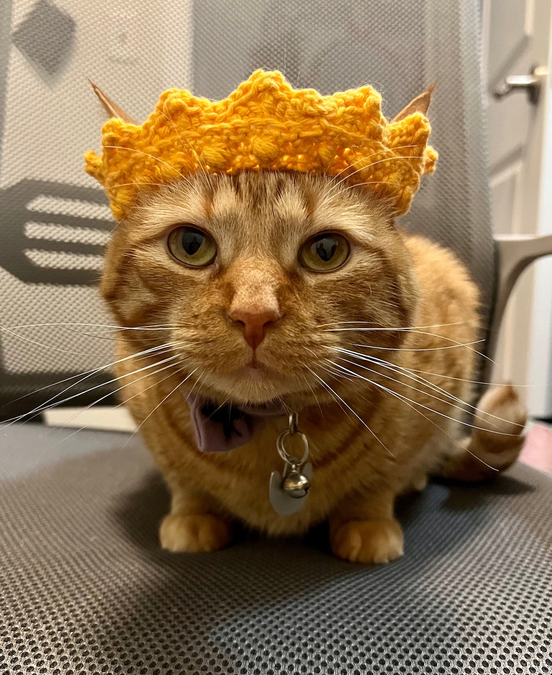 Cat Crown Cat Tiara Cat King or Queen Costume Crochet Crown Etsy