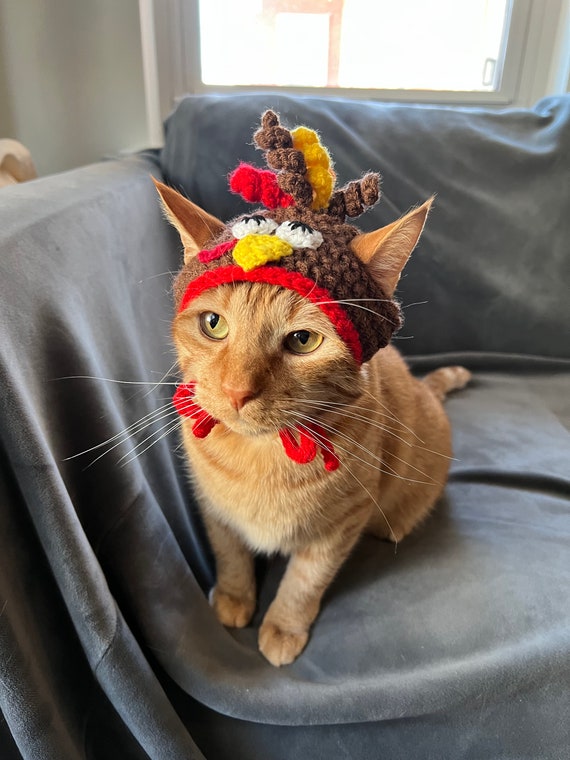 Thanksgiving Turkey Hat for Cats Funny Turkey Cat Hat With -  Denmark