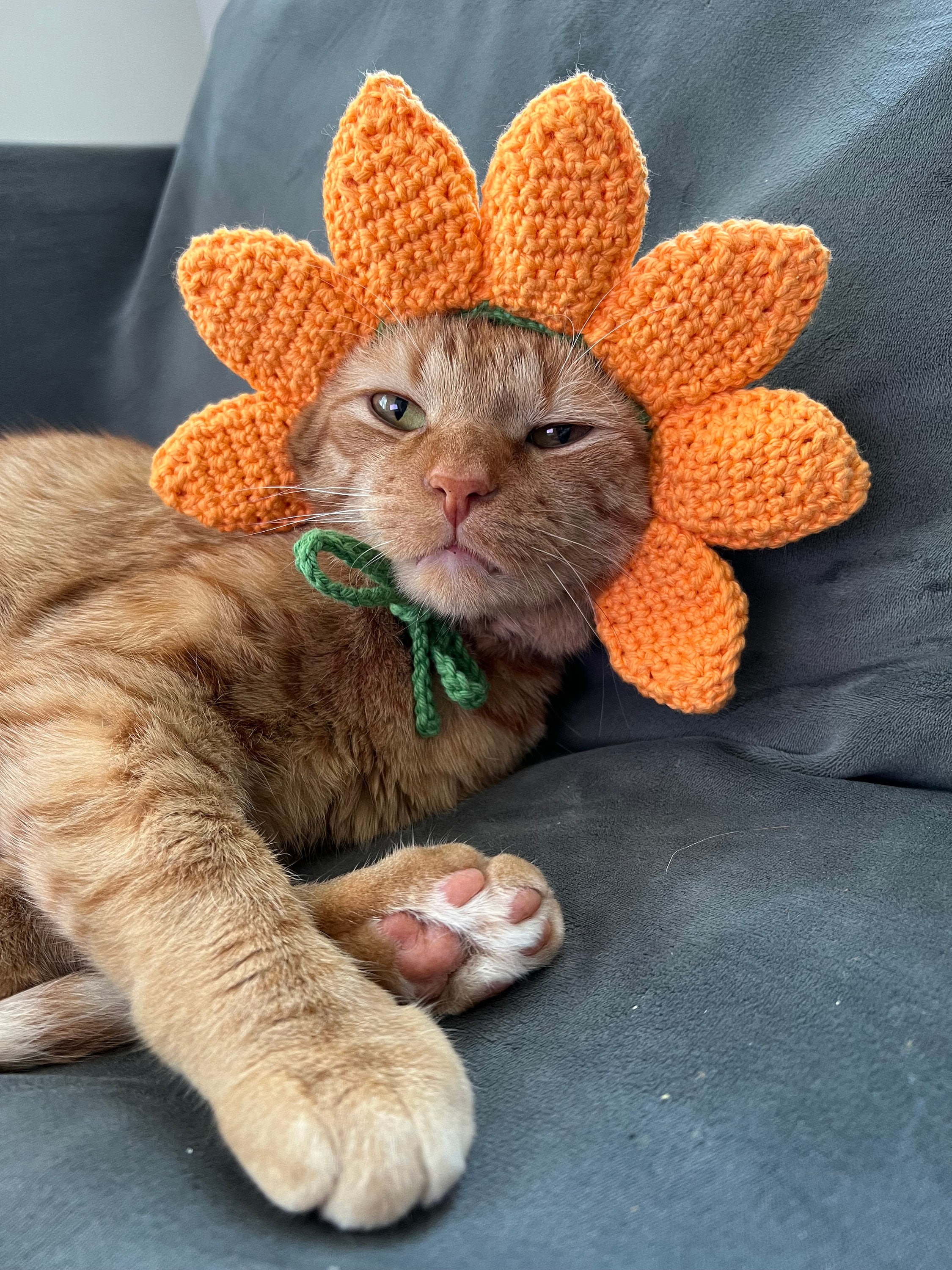 かぎ針編みのひまわり猫帽子、ペットコスチューム - Etsy 日本