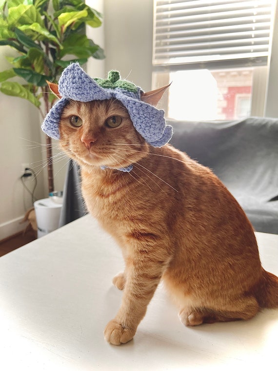 ブルーベルフラワーの猫用帽子かぎ針編みパターン（PDFデジタル