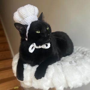 May include: A black cat wearing a white crocheted chef's hat and bow tie, resting on a fluffy white cat tree. The cat has green eyes and is looking to the side. The cat tree has a light brown pole.