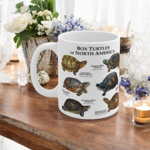 Turtle Species Chart Mug Box Turtles of North America Reptile Lover Gift Educational Coffee Cup Turtle ID Guide