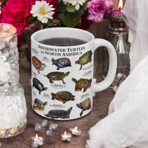 Freshwater Turtles of North America Mug, Turtle Species Chart Coffee Cup, Reptile Lover Gift,  Educational Wildlife Biology Mug