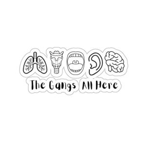 Sticker - Speech Anatomy: for SLP, Speech Therapist Gift for Graduation Speech Language Pathology Sticker for SLP Graduate Students