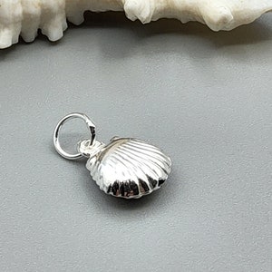 May include: A silver seashell charm pendant. The charm is detailed and has a realistic seashell design.