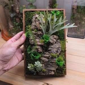 Customize Gifts Art Nature Preserved Moss Wall Succulent Plant Decor Nature Room Desktop New Home Gift Wood Stand included