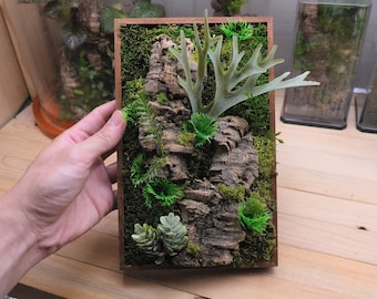 Customize Gifts Art Nature Preserved Moss Wall Succulent Plant Decor Nature Room Desktop New Home Gift Wood Stand included