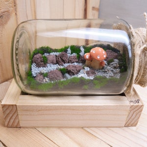 May include: A glass jar terrarium with a miniature landscape featuring moss, small rocks, and a ceramic mushroom. The jar is placed in a wooden box with the word "mini" written on the side.