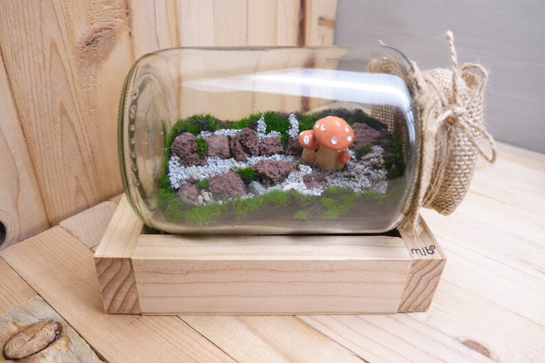 May include: A glass jar terrarium with a miniature landscape featuring moss, small rocks, and a ceramic mushroom. The jar is placed in a wooden box with the word "mini" written on the side.