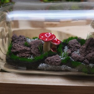 May include: A glass jar terrarium with a wooden base. The terrarium contains green moss, small rocks, and two red and white mushroom figurines.
