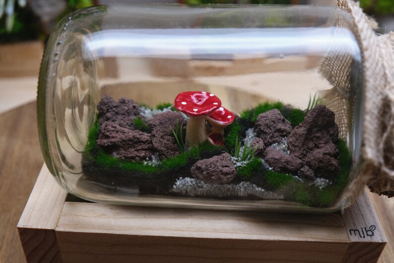 May include: A glass jar terrarium with a wooden base. The terrarium contains green moss, small rocks, and two red and white mushroom figurines.