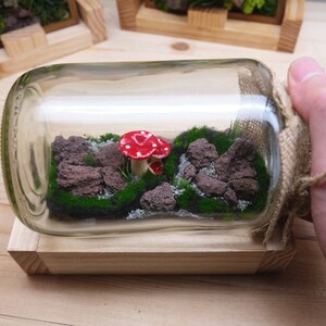 May include: A glass jar terrarium with a red and white mushroom, green moss, and small brown rocks. The jar is sitting on a wooden base and is wrapped in burlap.