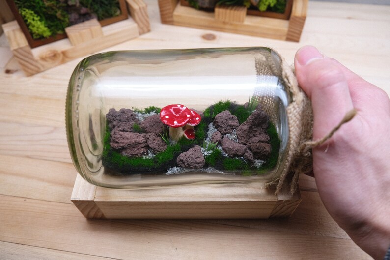 May include: A glass jar terrarium with a red and white mushroom, green moss, and small brown rocks. The jar is sitting on a wooden base and is wrapped in burlap.