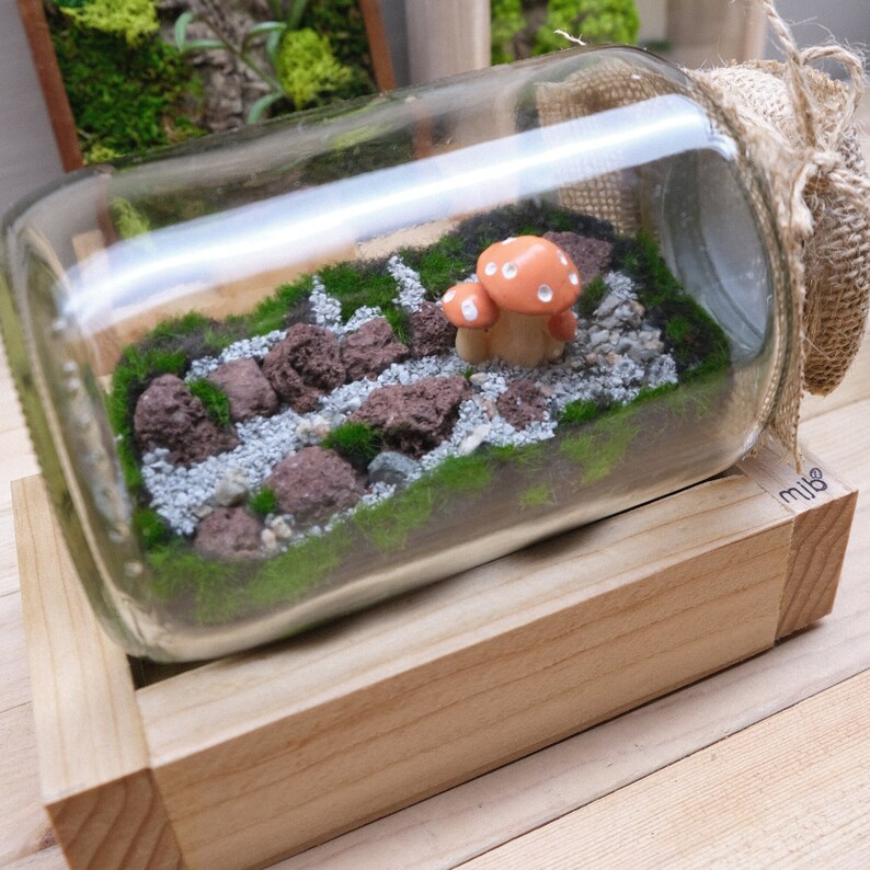 May include: A glass jar terrarium with a miniature mushroom and moss, rocks, and white gravel. The jar is sitting on a wooden base with the word "mib" printed on it.