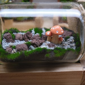 May include: A glass jar terrarium with a moss-covered base and small rocks. There are three small orange and white ceramic mushrooms in the jar.