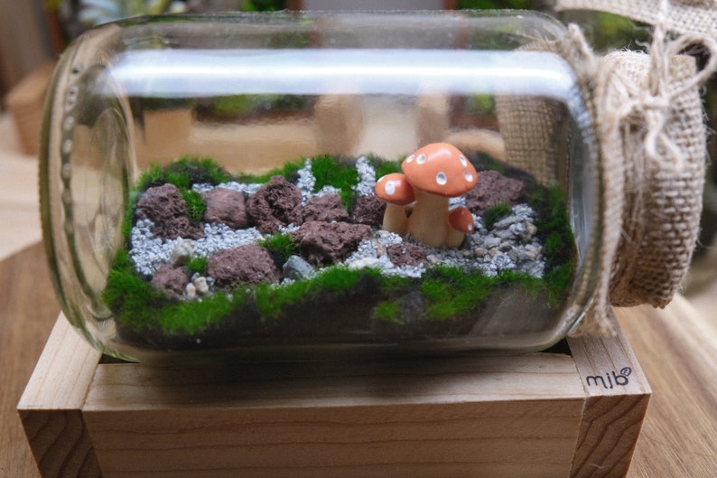 May include: A glass jar terrarium with a moss-covered base and small rocks. There are three small orange and white ceramic mushrooms in the jar.