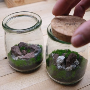 Mountain Arts, Tiniest Terrarium, Fairy Garden, Mini Zen Garden Desk, Dioramas Terrarium, Preassembled kit w/ cork cap