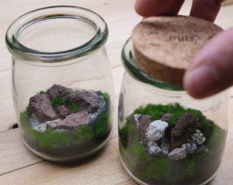 Mountain Arts, Tiniest Terrarium, Fairy Garden, Mini Zen Garden Desk, Dioramas Terrarium, Preassembled kit w/ cork cap