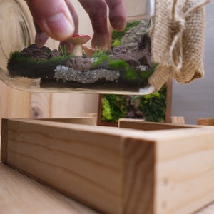 May include: A glass jar terrarium with a miniature forest scene, including moss, rocks, and a small red and white mushroom. The jar is being placed on a wooden base.