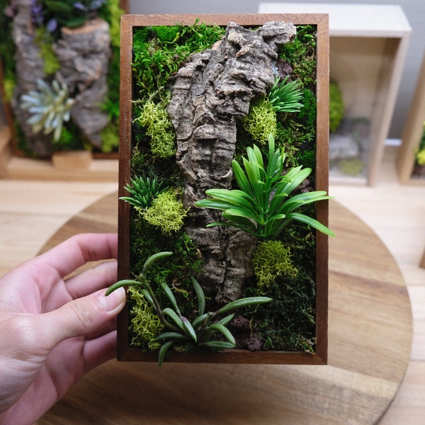 Moss Arts, Diy Green Wall, Real Moss, Plant Decor Art, Nature Room, Desktop Decor, New Home Gift (Wood stand included)