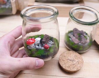 Fairy Mushroom Micro Terrarium Cute Ladybug Unique Gift Zen Artwork for bedroom
