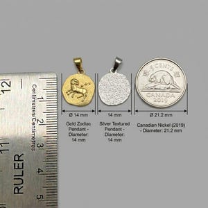 Zodiac Necklace - 925 Sterling Silver or Gold Plated Zodiac Coin Pendant - Unisex Gift image 18