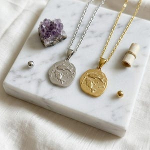 Zodiac Necklace - 925 Sterling Silver or Gold Plated Zodiac Coin Pendant - Unisex Gift image 14