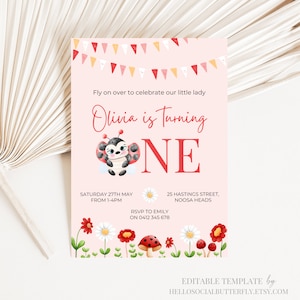 EDITABLE Ladybug Birthday Invitation, Cute Ladybug Invitation, Ladybug Invite, Ladybug Evite, Ladybug Canva, Ladybug Instant Download, 013