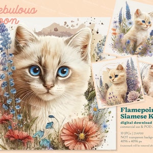 Flame Point Siamesisk kattunge 10 JPG-bilder Ladda ner klistermärkespaket AP23010 | katt clipart, kattnål, lyckokatt, virkad katt, barnkammarklistermärke, kattunge