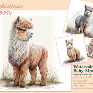 Akwarela Baby Alpaca 10 JPG Zestaw akwarelowych clipartów 23AP031 | wystrój pokoju dziecięcego, małe zwierzątko, kocyk z alpaki, koszulka z lamą, projekt postaci