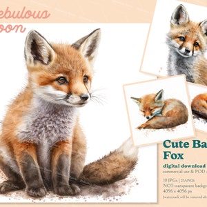 Mignon bébé renard Sleeping10 JPG Funny Animal Clipart Bundle 23AP026 | autocollant de renard, autocollant de pépinière, invatation de douche de bébé de forêt, enfant de renard