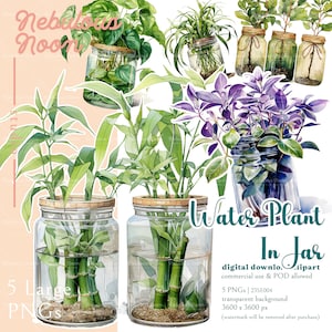 Plante d’eau en pot 5 PNG Aquarelle Clipart 23SE004 | plante enracinée, décoration végétale d’intérieur, aquarelle de décoration intérieure, amoureux des plantes, planificateur de jardin