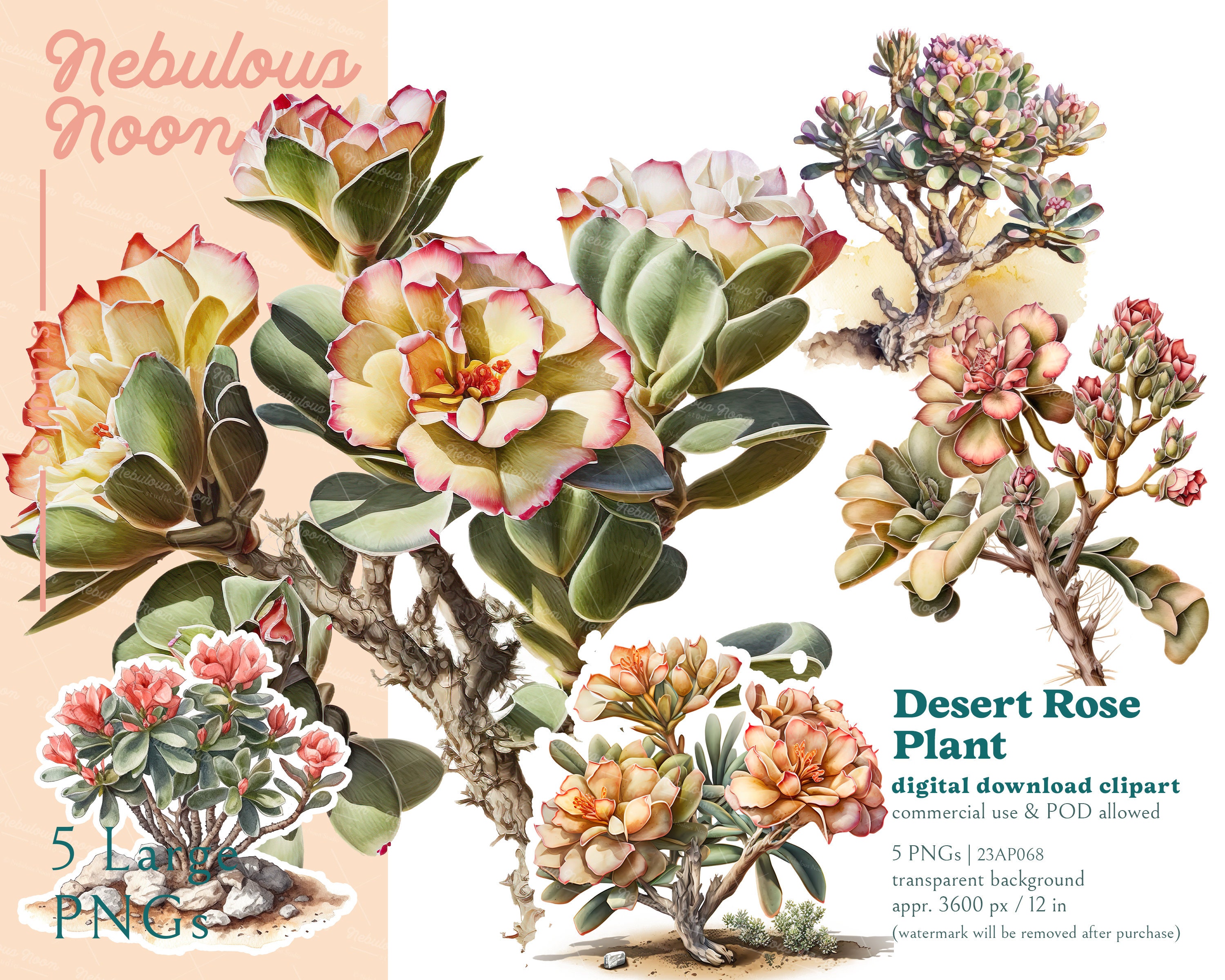 Desert Rose Plant 5 PNG Succulent Clipart Bundle 23AP068 | plant decor,watercoler floral,desert flower art,southwestern decor,cactus flower