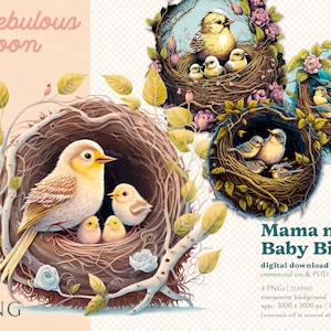 Mama n' Baby Bird 4 PNGs Digital Paper Clipart Bundle 23AP045 / diseño del día de la madre, imágenes prediseñadas de aves, regalo de maternidad, diario basura, diseño de camiseta