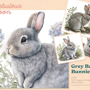 Grey Baby Bunnies 10 JPG Clipart Bundles / uso POD commerciale, stampa coniglietto divertente, coniglio pasquale, adesivo vivaio, illustrazione ad acquerello