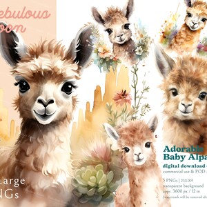 Adorable Baby Alpaca 5 PNG Animal Clipart Bundle 23JL005 / ilustración de llama, decoración animal, tarjetas de bebé, decoración de guardería, regalo de ducha de bebé, viaje al zoológico