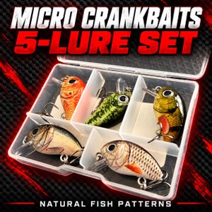 May include: A set of five micro crankbait fishing lures in a clear plastic divided storage box. The lures feature natural fish patterns in orange, green, and silver tones with realistic eyes, metal hooks, and clear plastic diving lips.