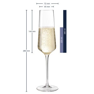 Puede incluir: Una copa de champ&aacute;n llena de bebida espumosa. El vaso mide 26 cm de alto, 7,2 cm de ancho en la parte superior y contiene de 220 ml a 280 ml. La copa tiene un tallo largo y una copa ancha y angular.