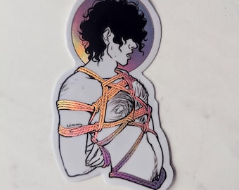 Danny Shibari holographic sticker