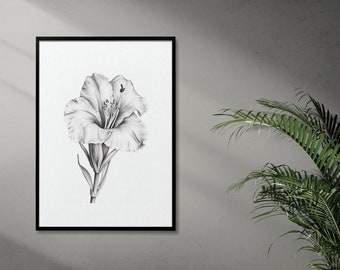 Gladiolus Sketch Printable Artwork for Instant Download