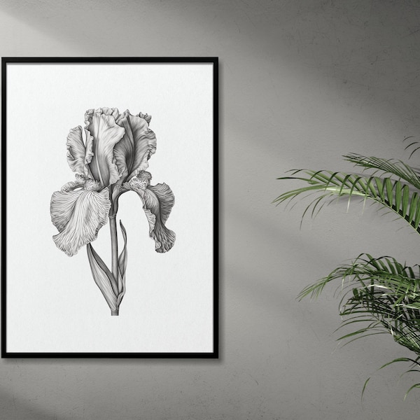 Iris Artwork - Etsy