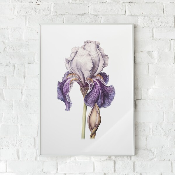 Iris Artwork - Etsy