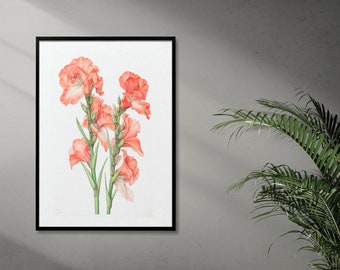 Gladiolus Watercolor Botanical Wall Art, High-Resolution Digital File for Stunning Print Wall Art, Gallery Wall art, Floral Printable Art